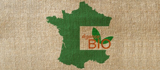 Agriculture biologique : poursuite de la croissance en 2016