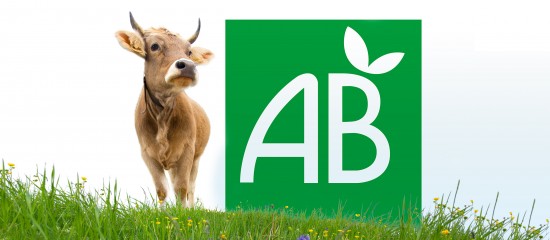 Agriculteurs : du nouveau pour le financement des aides à l'agriculture biologique