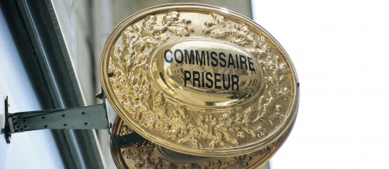 Huissiers de justice et commissaires-priseurs judiciaires : zones d'installation libre