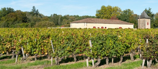 Viticulteurs : nouveau classement des crus artisans du Médoc