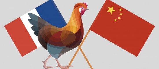 Aviculteurs : levée de l'embargo chinois sur la viande de volaille française