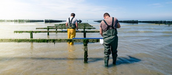 Aquaculteurs : appel à projet sur l'innovation