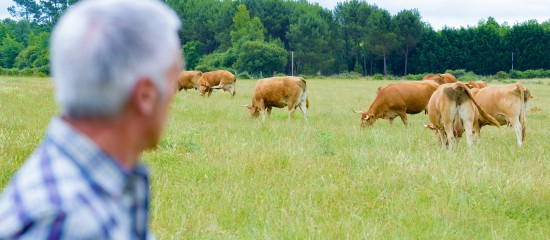 Éleveurs : expérimentation des abattoirs mobiles