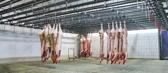 Éleveurs : contrôle vidéo dans les abattoirs