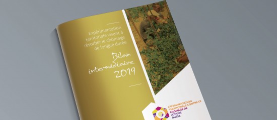 Insertion : bilan de l'expérimentation « Territoires zéro chômeurs longue durée »