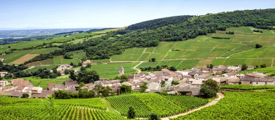 Exonération de cotisations sociales dans les zones France Ruralités Revitalisation