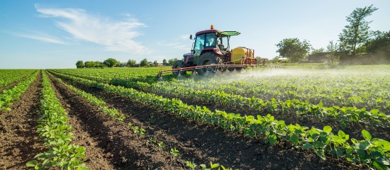 Toutes cultures : retrait de 36 herbicides à base de glyphosate