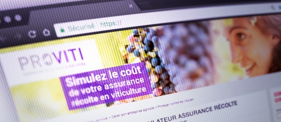 Viticulteurs : un simulateur sur l'assurance récolte