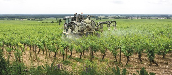 Viticulteurs : l'impact économique du retrait du glyphosate