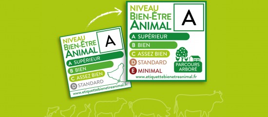 Éleveurs de volailles : un étiquetage « bien-être animal »