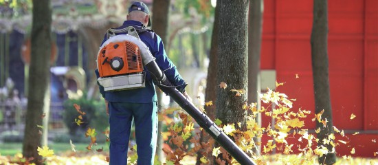 Insertion : les structures d'insertion par l'activité économique en 2018