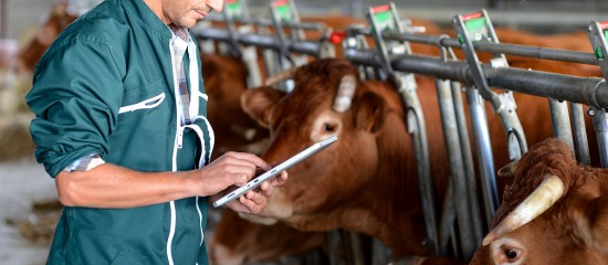 Éleveurs : expérimentation de la télémédecine vétérinaire