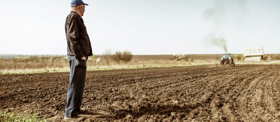 Refus de renouvellement d'un bail rural à long terme à un locataire âgé