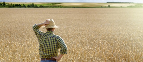 Droit de préemption du fermier en cas de vente d'un terrain agricole