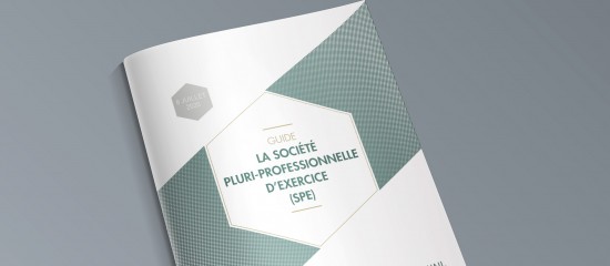 Professionnels du chiffre et du droit : un guide sur la société pluriprofessionnelle d'exercice