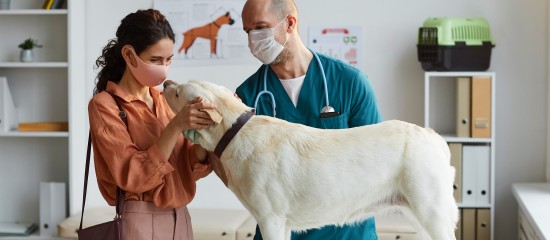 Vétérinaires : quel est l'impact du Covid-19 sur la profession ?