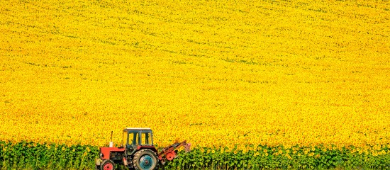 Culture d'oléoprotéagineux : aides à l'acquisition d'agroéquipements