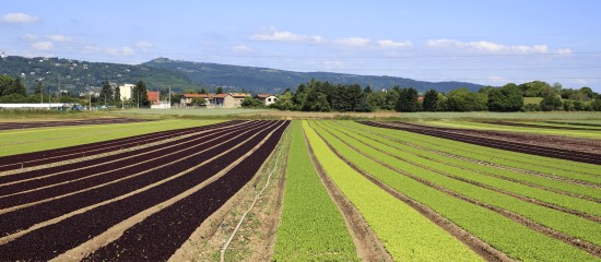 Bail rural : gare au départ de l'un des colocataires !