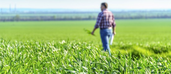 Bail rural : le bailleur doit être informé du départ de l'un des colocataires !