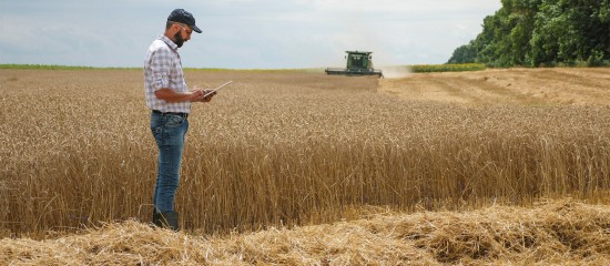 Renouvellement du bail rural : gare au respect du contrôle des structures !