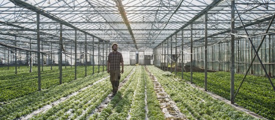 Plan de résilience : des aides pour soutenir l'agriculture