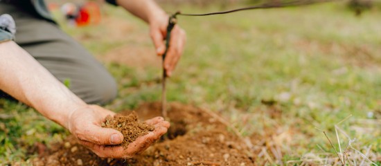 Viticulteurs : autorisations de plantations nouvelles pour 2022