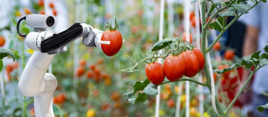 Aide à l'acquisition de matériels agricoles innovants