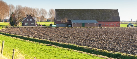 Bail rural : gare à la mention du domicile dans un congé pour reprise !