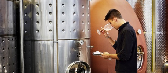 Viticulteurs : une aide pour les activités de vinification après le gel de 2021