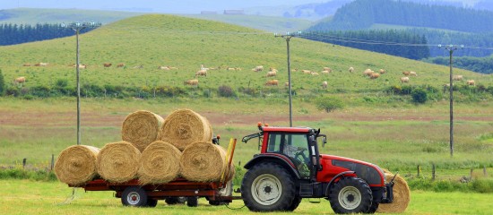 Suspension de l'interdiction du broyage et du fauchage des jachères