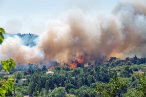 L'Urssaf au chevet des entreprises touchées par les feux de forêts