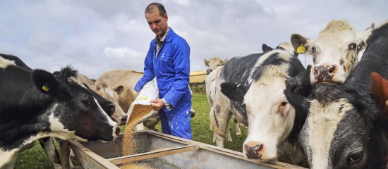 Exploitants agricoles : encore quelques jours pour demander l'aide « Pec résilience » !