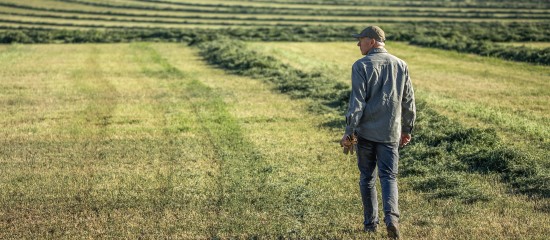 La reprise par le bailleur des terres louées après le décès du locataire