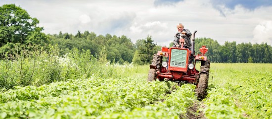 Du nouveau pour la fiscalité des exploitations agricoles