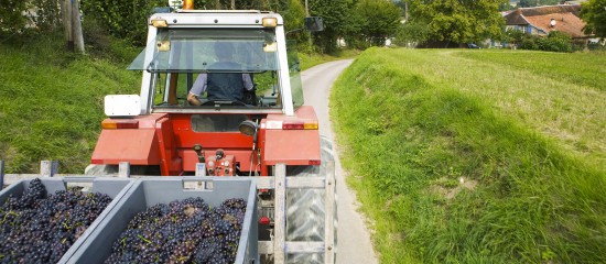 Viticulteurs : plus que quelques jours pour déclarer votre récolte !