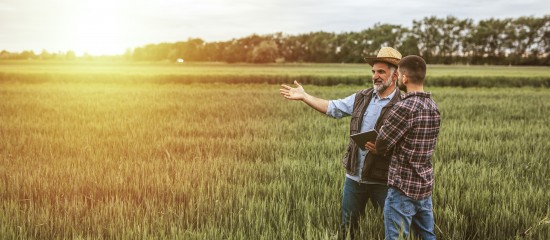 Mise à disposition d'une société de terres agricoles louées : gare à l'information du bailleur !