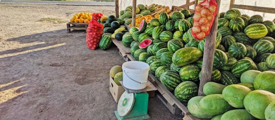 Vente au déballage : une amende forfaitaire possible en cas d'irrégularité