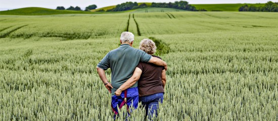 Transmission du bail rural au conjoint de l'exploitant décédé : à quelles conditions ?