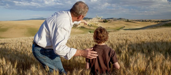 Non-salariés agricoles : une meilleure indemnisation pour leur famille