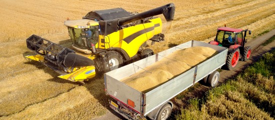 Céréaliers : l'Anses réautorise la phosphine mais confirme le retrait du S-métolachlore