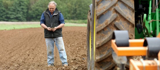 Nouvelle Politique agricole commune : qu'est-ce qu'un agriculteur actif ?