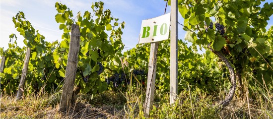 Agriculture biologique : le plan d'aide aux exploitations est opérationnel