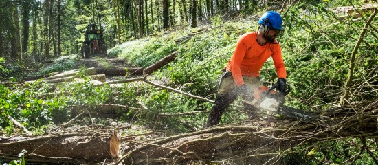 Agriculteurs : prorogation du taux de TVA à 10 % sur vos travaux forestiers