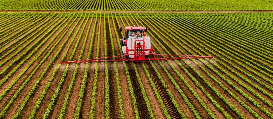 Toutes cultures : le glyphosate à nouveau autorisé pour 10 ans ?