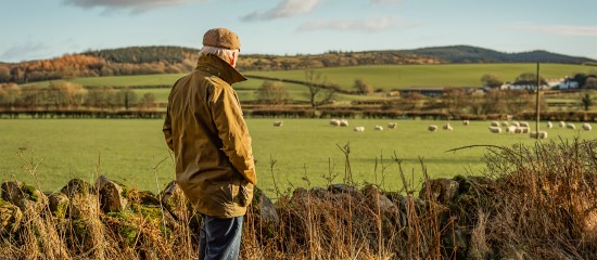 Mise à disposition d'une société de terres agricoles louées : il faut les exploiter !