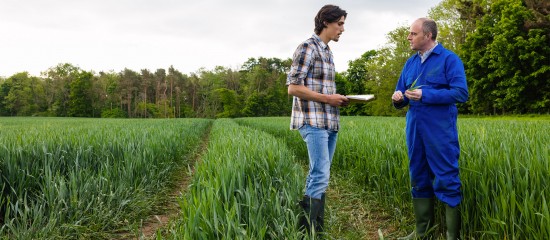 Quand un prêt à usage est requalifié en bail rural