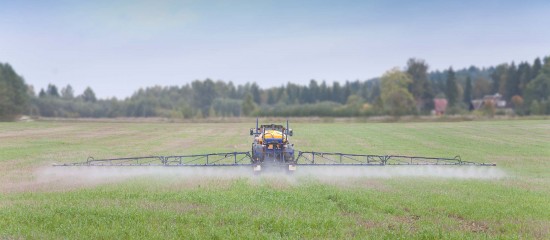 Toutes cultures : le glyphosate à nouveau autorisé pour 10 ans