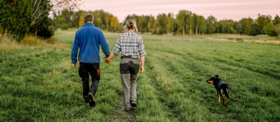 Décès d'un exploitant agricole : à qui est transmis le bail rural ?