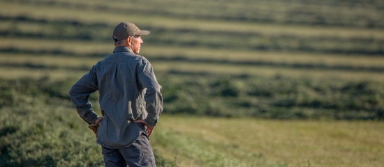 Bail rural : gare à la dissolution d'une société colocataire sans en informer le bailleur !