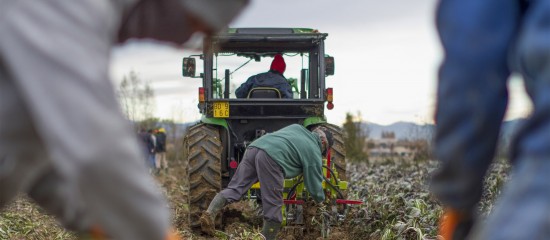 Exploitants agricoles : montant de la cotisation Atexa pour 2024